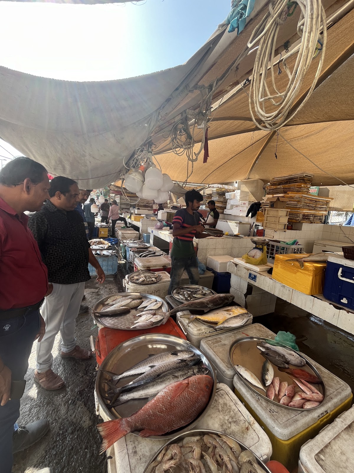 The Fish Market - Photo 5