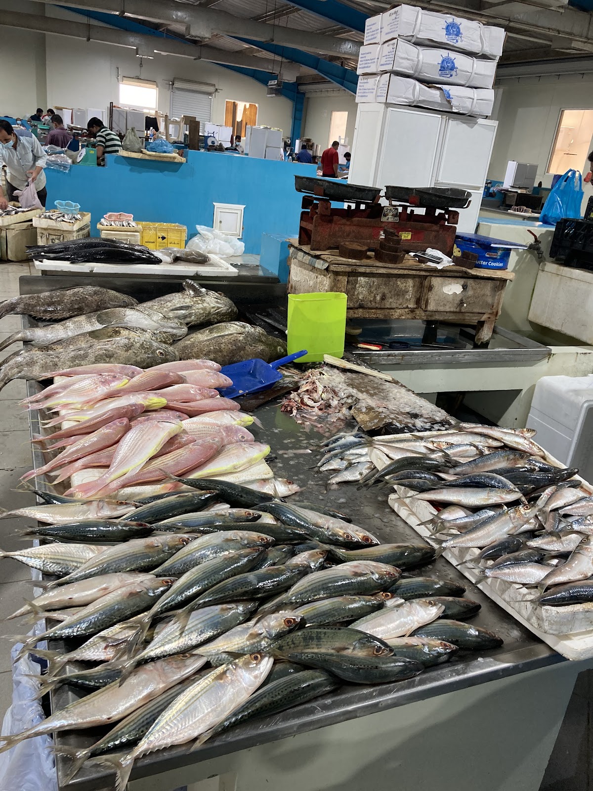 Fish Market 3