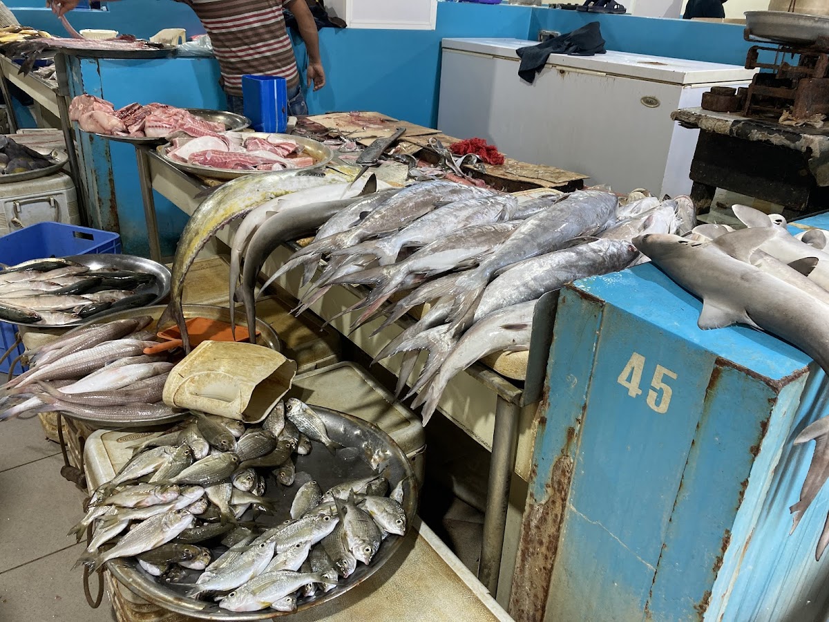 Fish Market - Photo 6