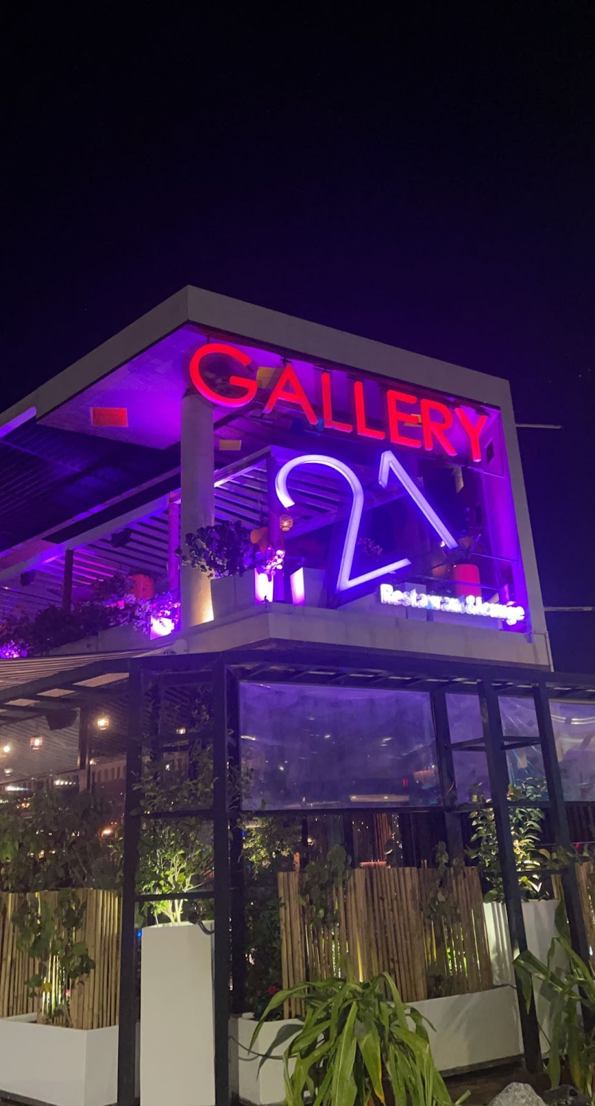 Gallery 21 - Photo 6