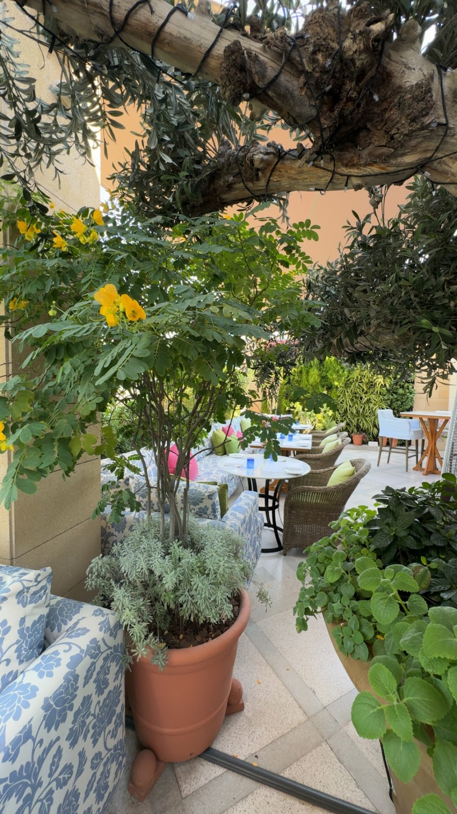 Indigo Terrace - Photo 6